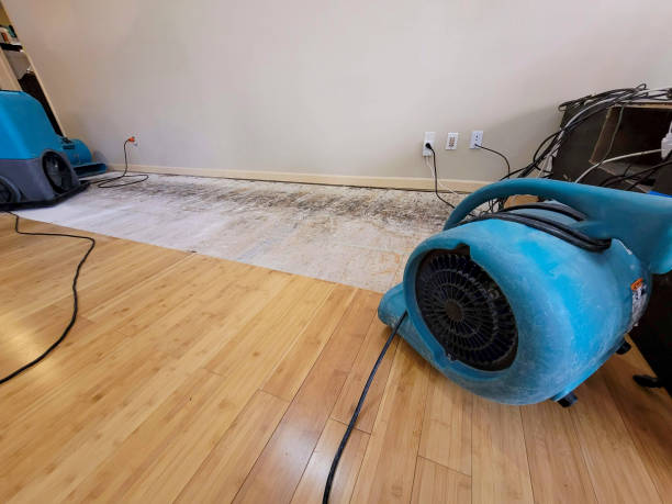 Professional Emergency Water Damage technician working in Oakland, CA